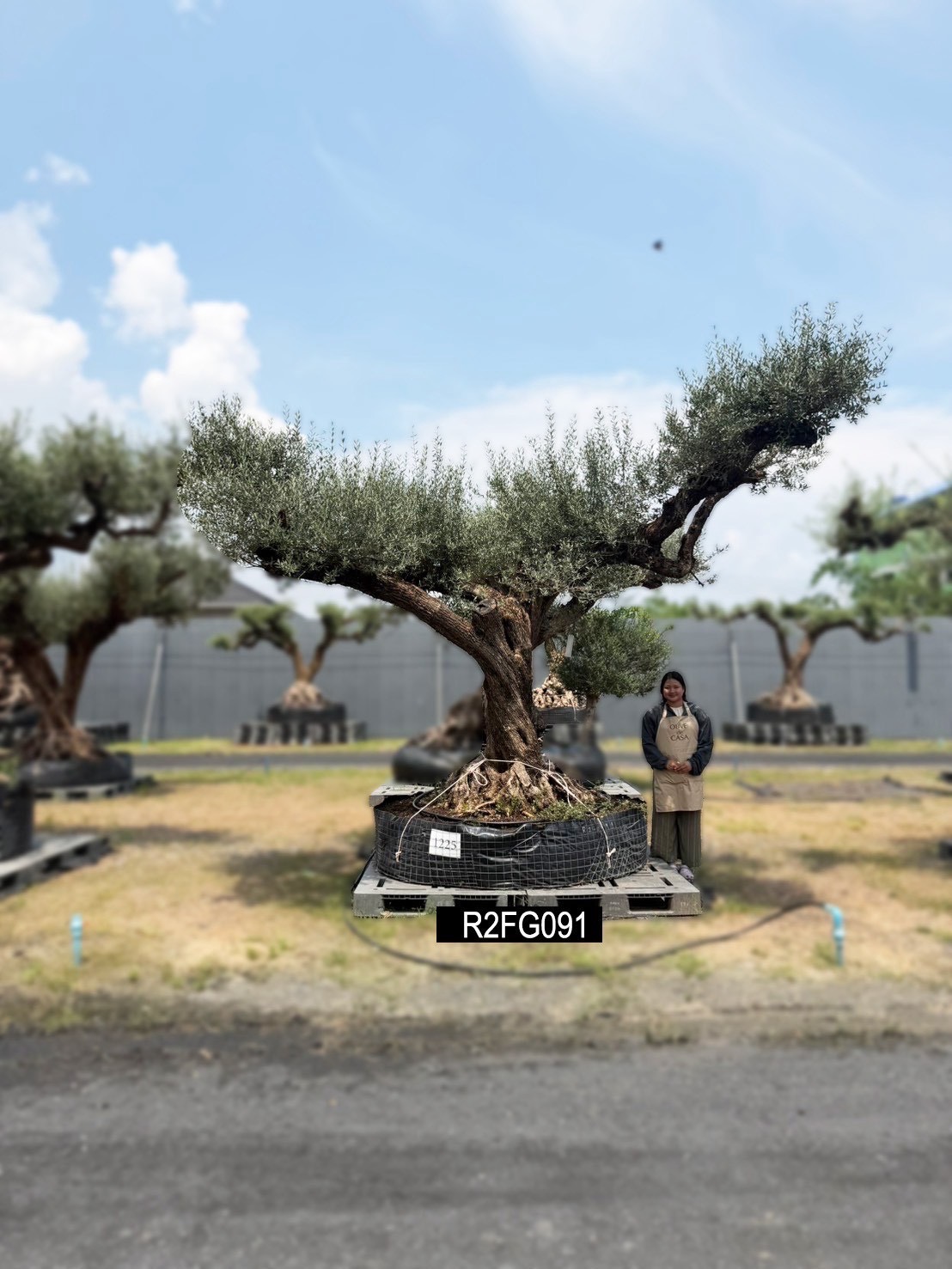 Farga · Farga 180,000–400,000 · ภาพหลัก